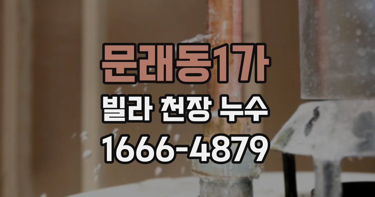 문래동1가 빌라 천장 누수