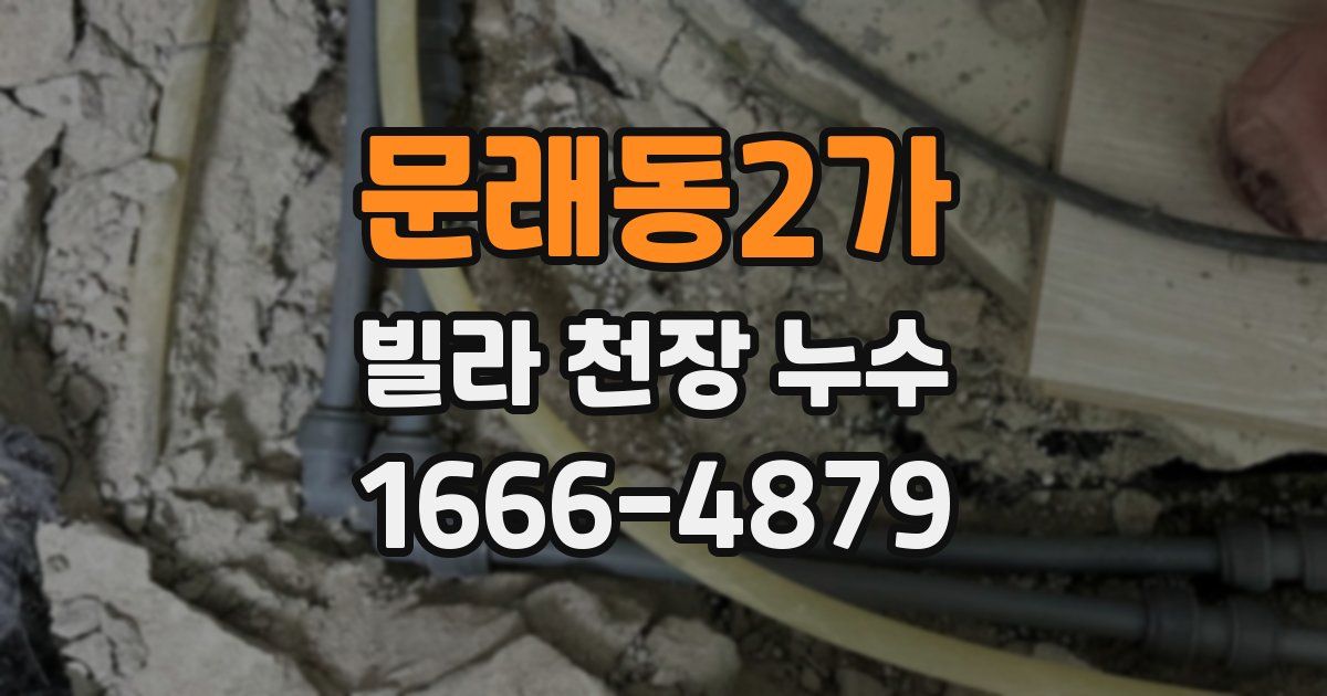 문래동2가 빌라 천장 누수