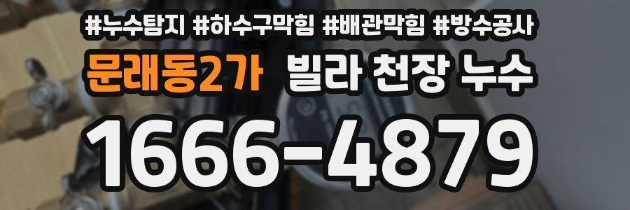 문래동2가 빌라 천장 누수