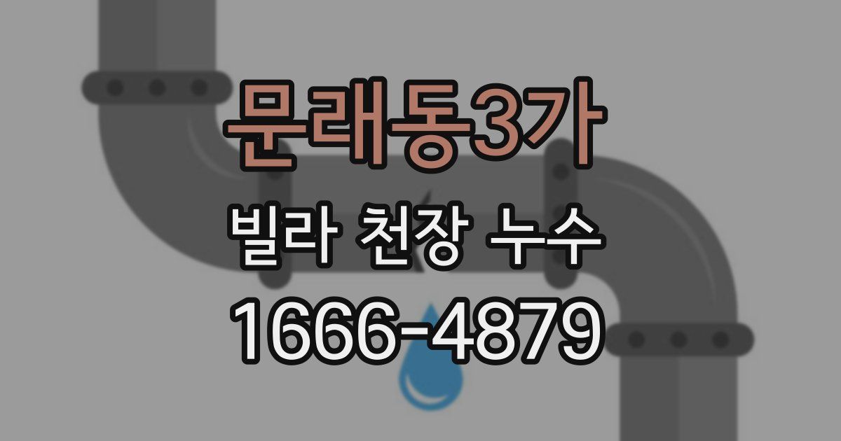 문래동3가 빌라 천장 누수