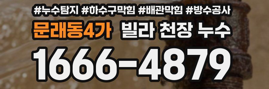 문래동4가 빌라 천장 누수
