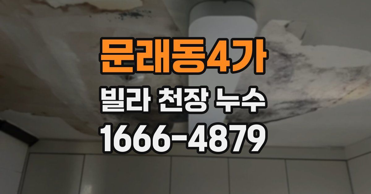 문래동4가 빌라 천장 누수