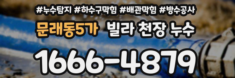 문래동5가 빌라 천장 누수