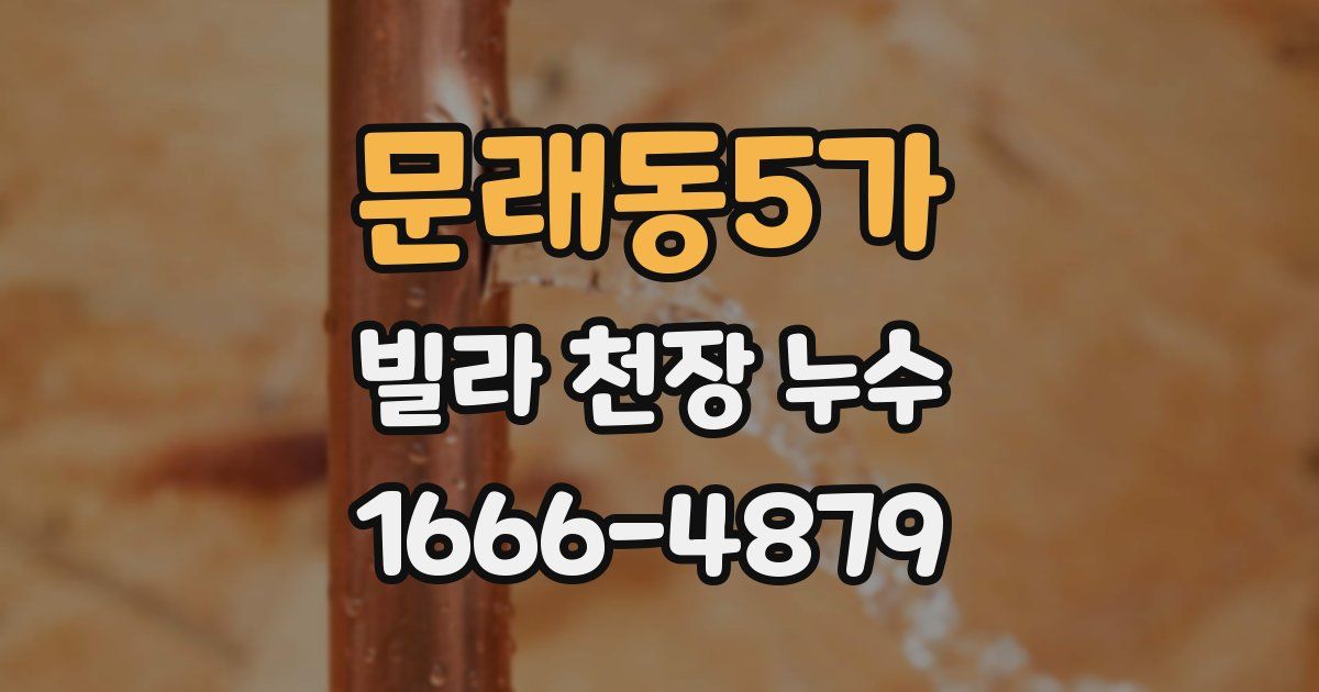 문래동5가 빌라 천장 누수