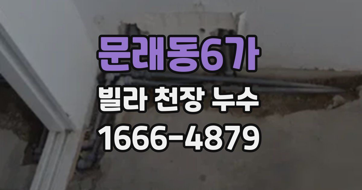 문래동6가 빌라 천장 누수