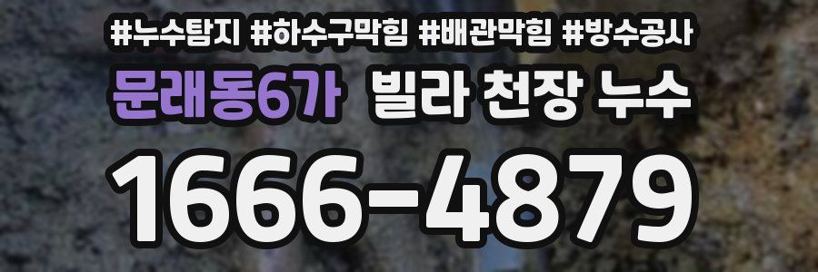 문래동6가 빌라 천장 누수