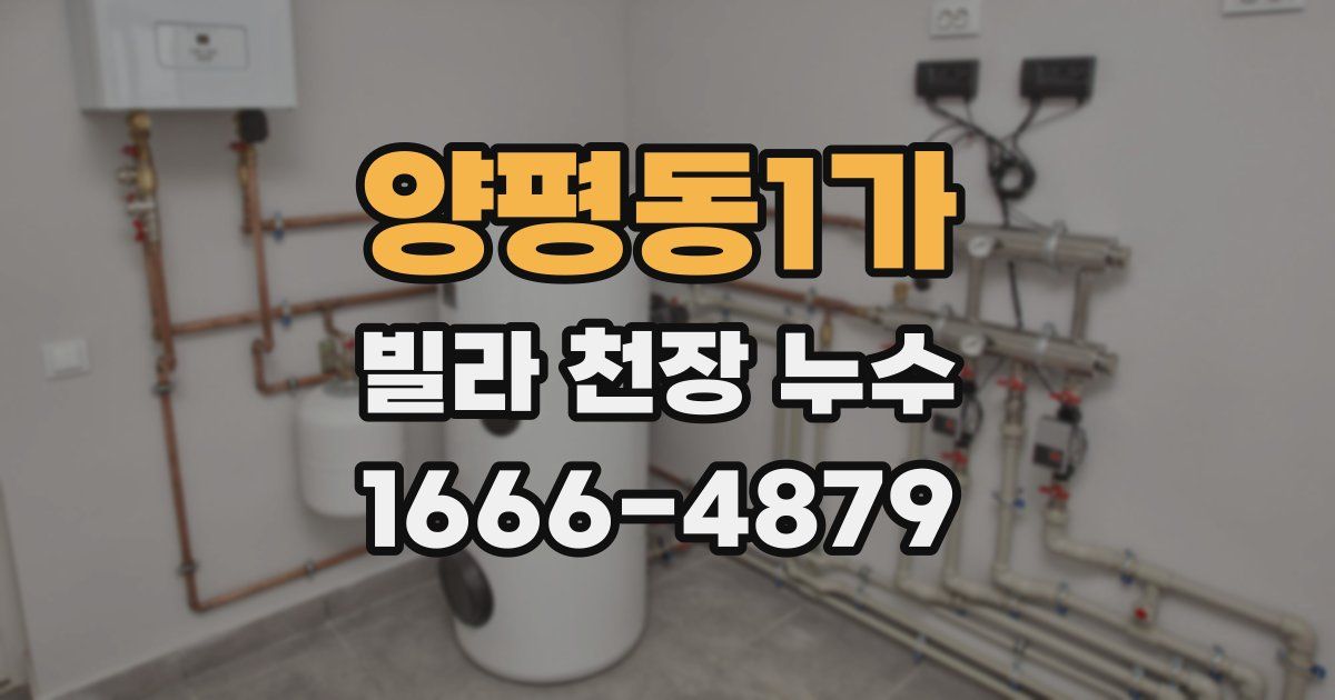 양평동1가 빌라 천장 누수