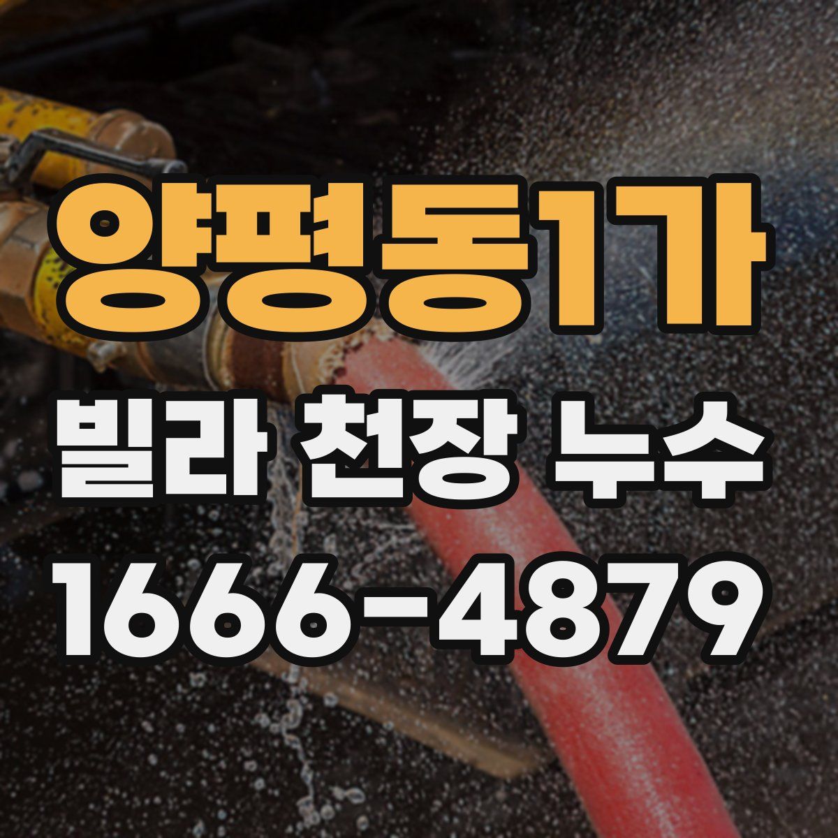 양평동1가 빌라 천장 누수