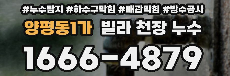 양평동1가 빌라 천장 누수