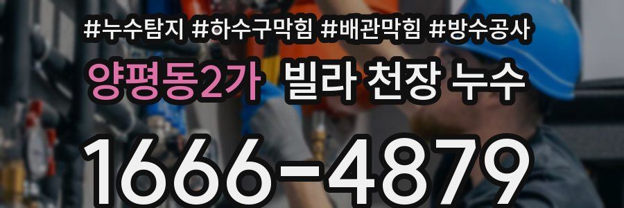 양평동2가 빌라 천장 누수
