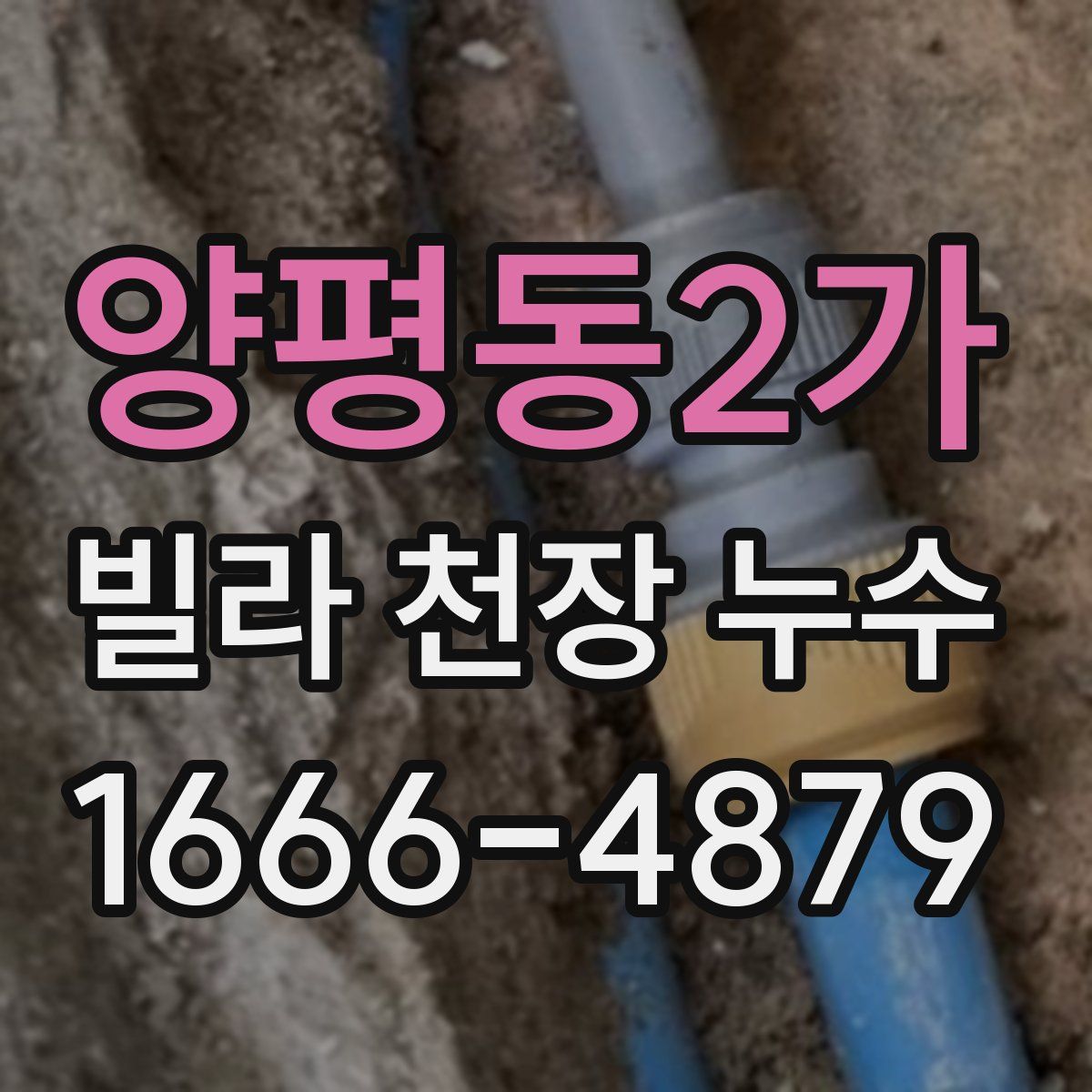 양평동2가 빌라 천장 누수