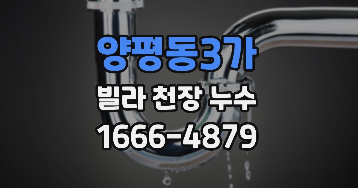 양평동3가 빌라 천장 누수
