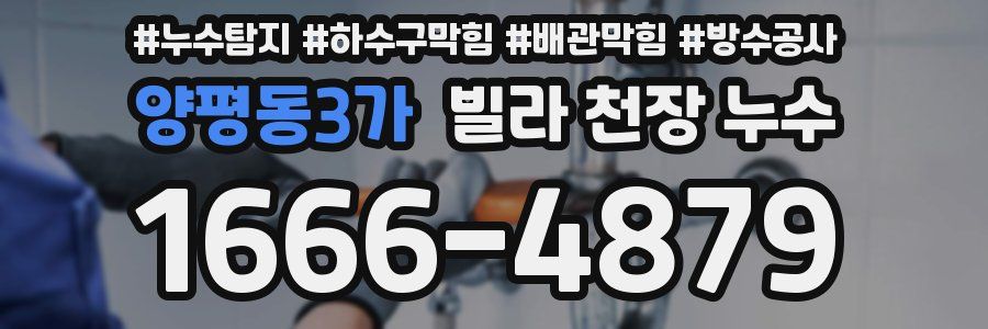양평동3가 빌라 천장 누수