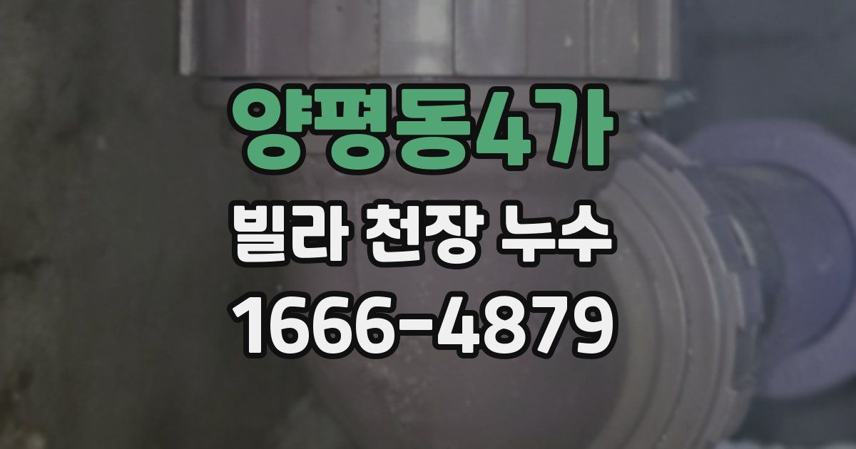 양평동4가 빌라 천장 누수