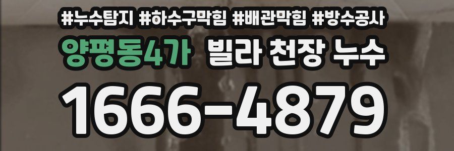 양평동4가 빌라 천장 누수