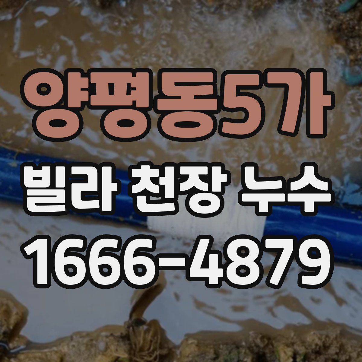 양평동5가 빌라 천장 누수