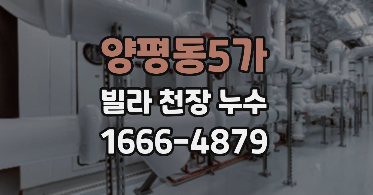 양평동5가 빌라 천장 누수