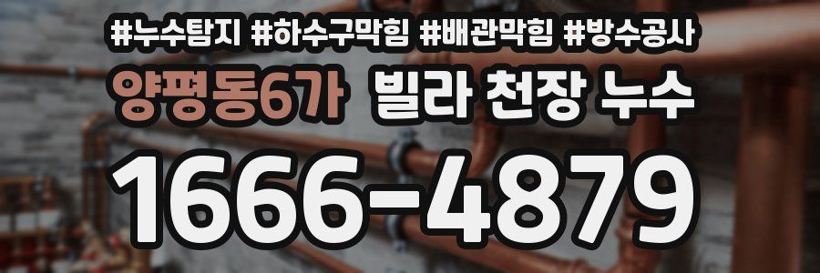 양평동6가 빌라 천장 누수