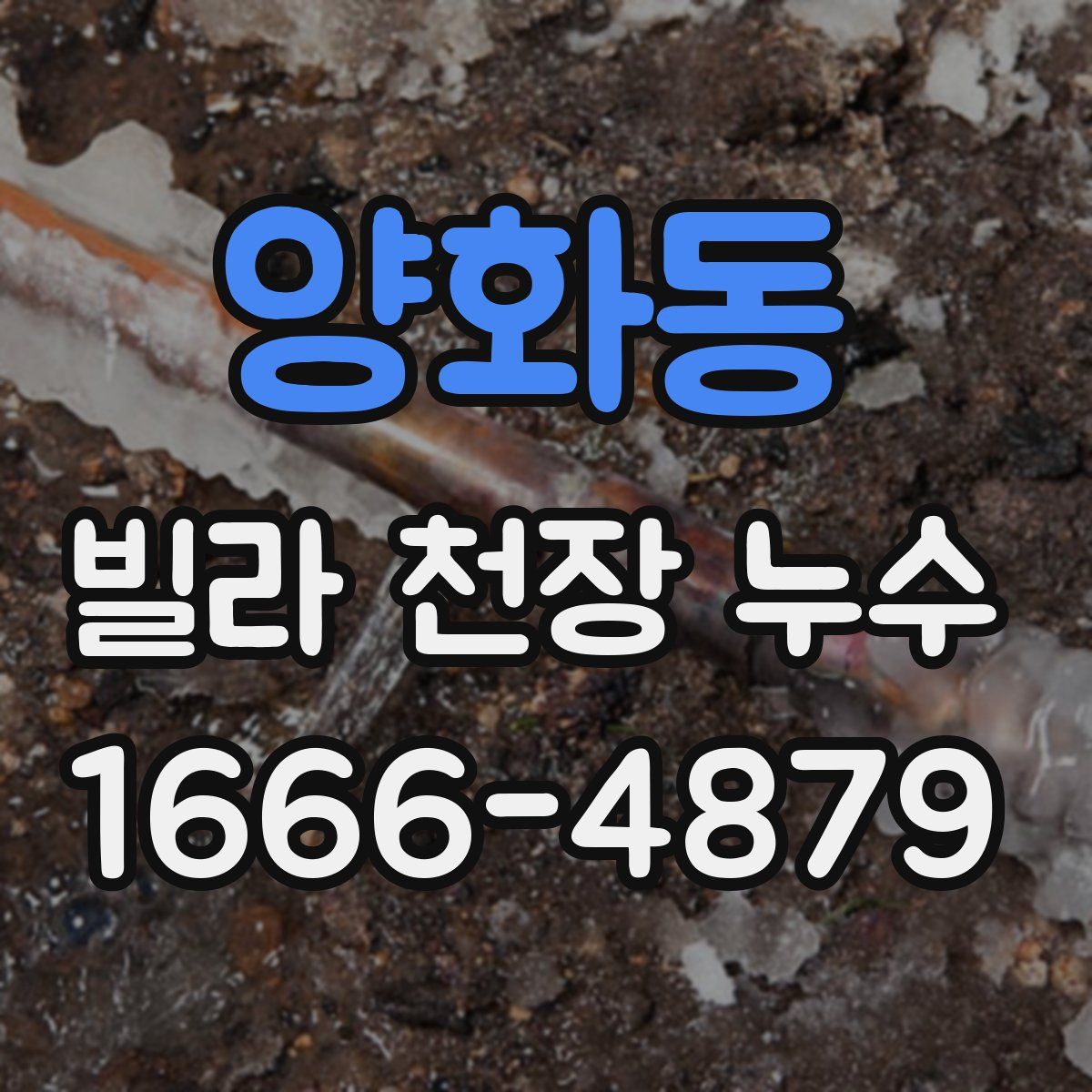 양화동 빌라 천장 누수