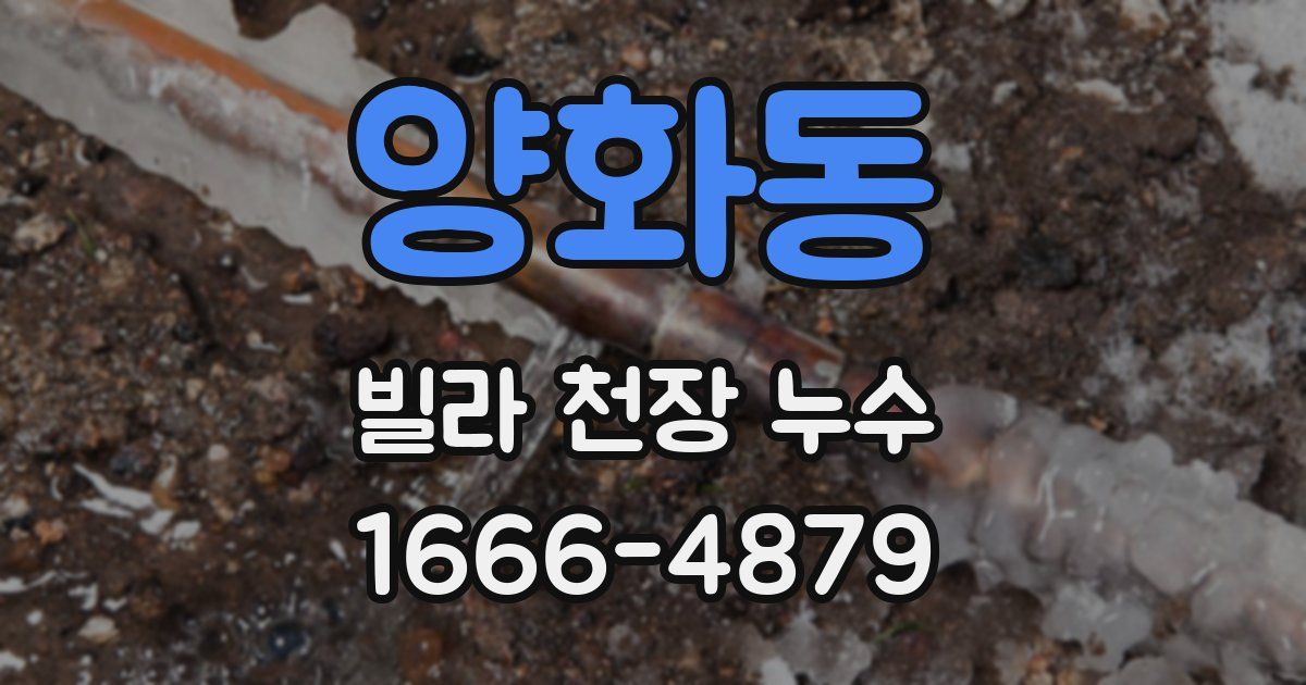 양화동 빌라 천장 누수
