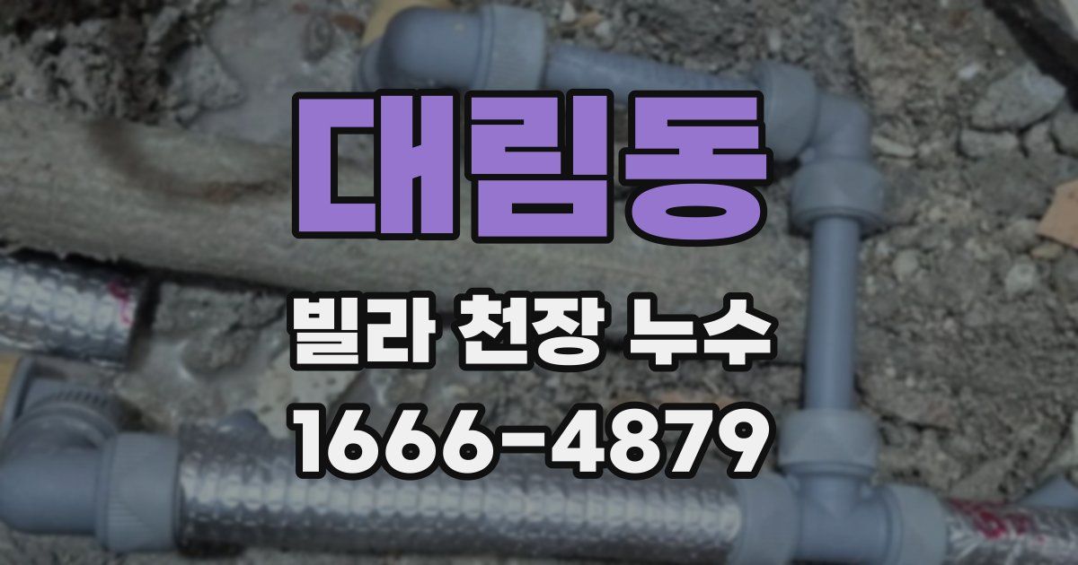 대림동 빌라 천장 누수
