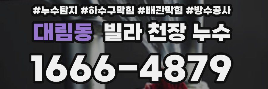 대림동 빌라 천장 누수