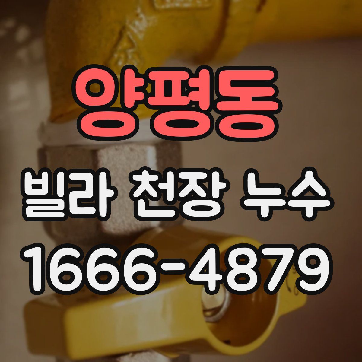 양평동 빌라 천장 누수