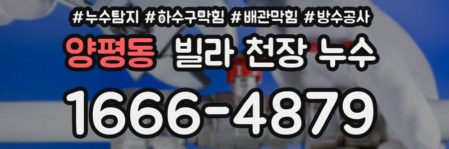 양평동 빌라 천장 누수