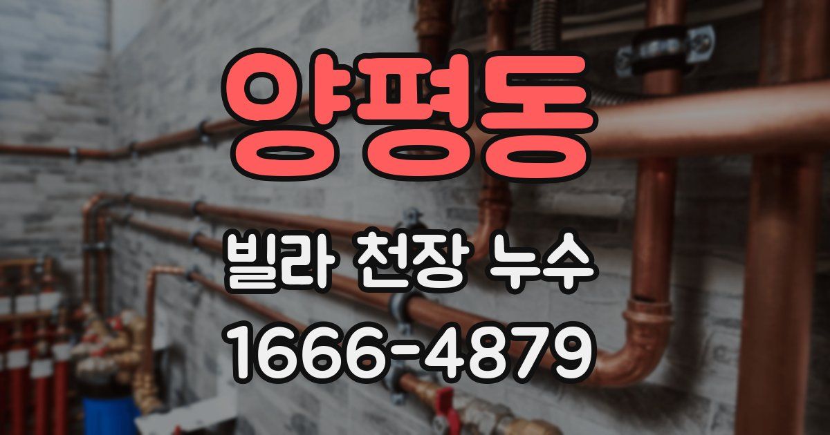 양평동 빌라 천장 누수