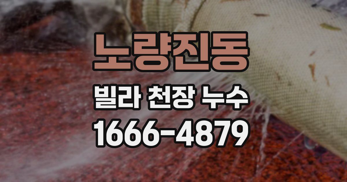 노량진동 빌라 천장 누수