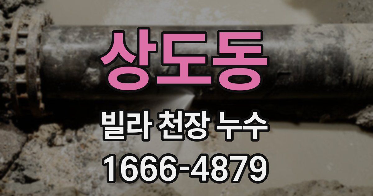 상도동 빌라 천장 누수