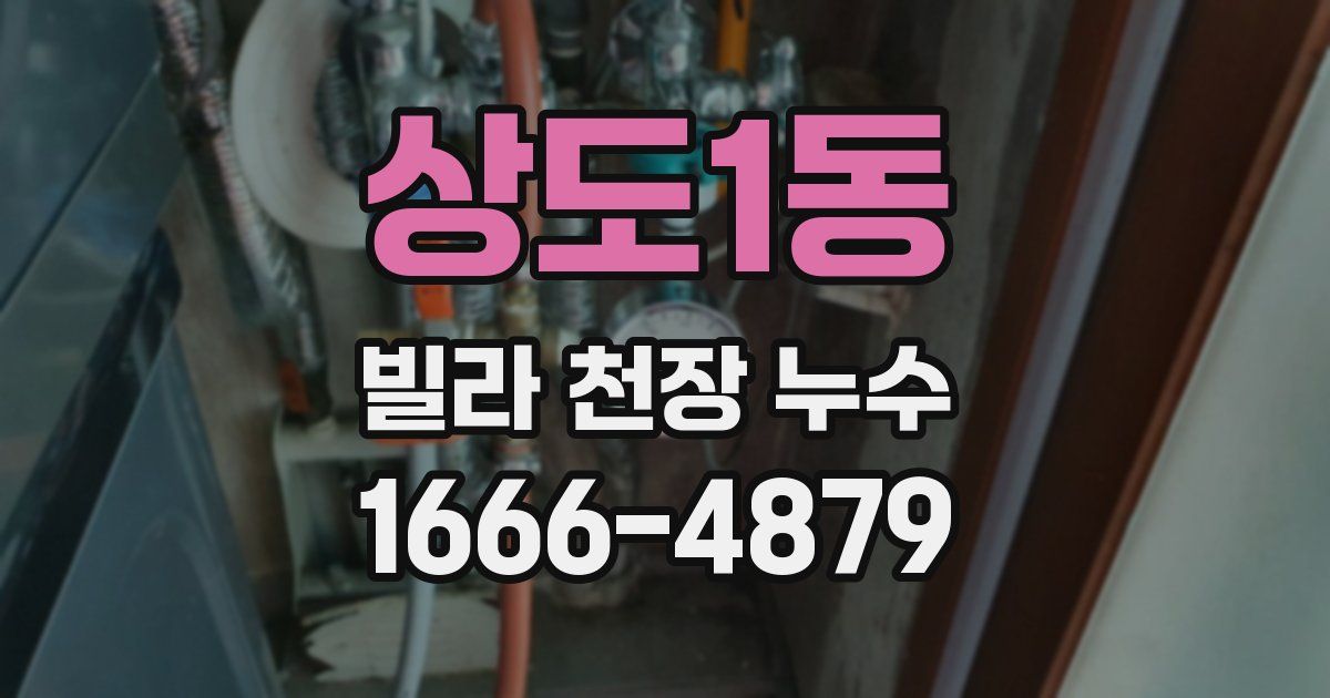 상도1동 빌라 천장 누수