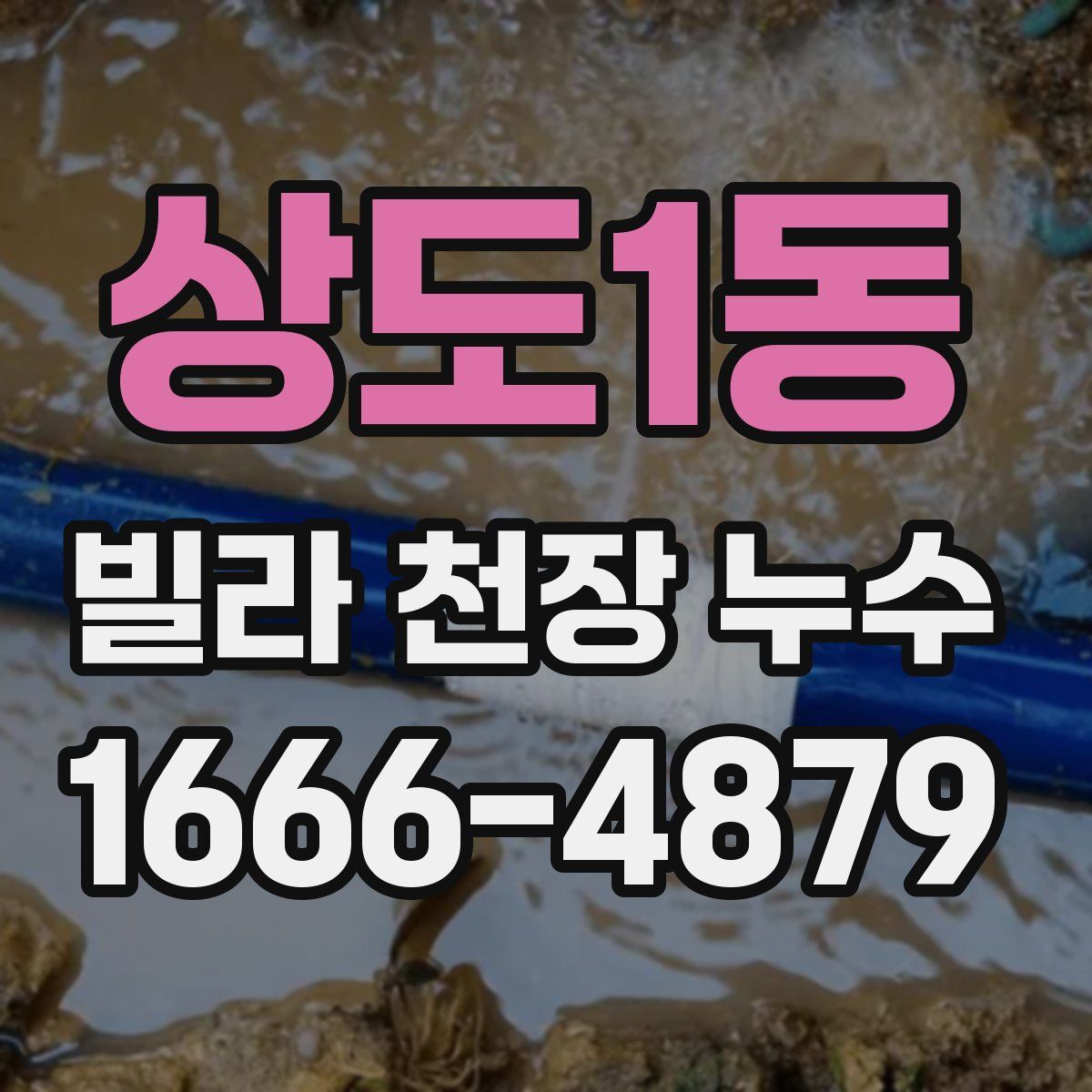 상도1동 빌라 천장 누수