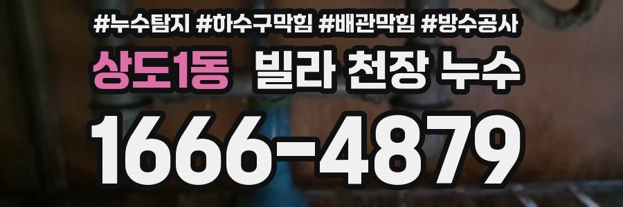 상도1동 빌라 천장 누수