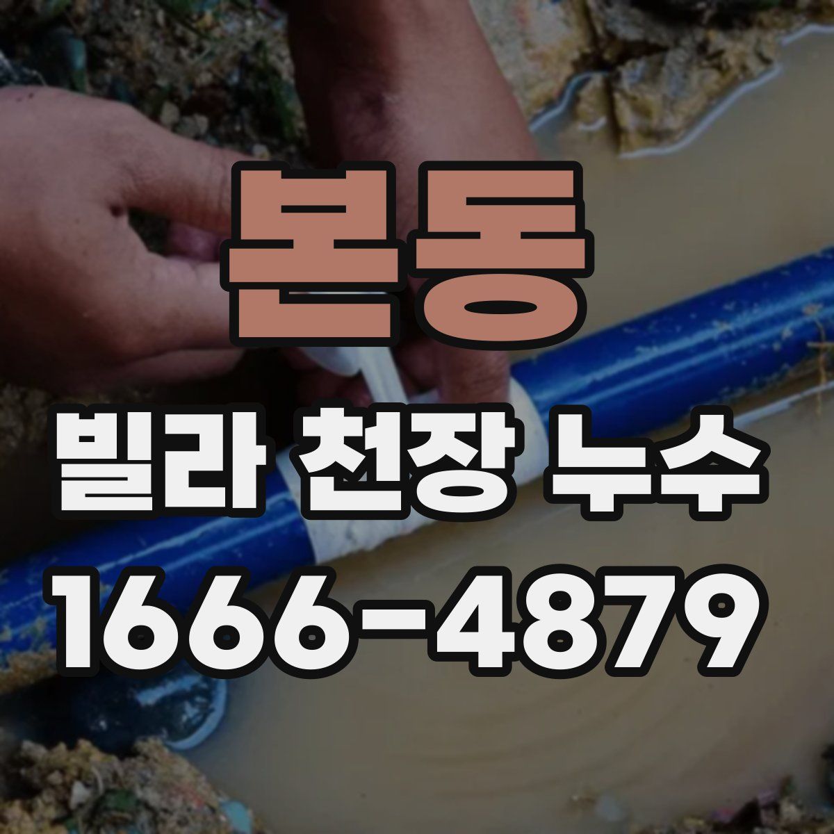 본동 빌라 천장 누수