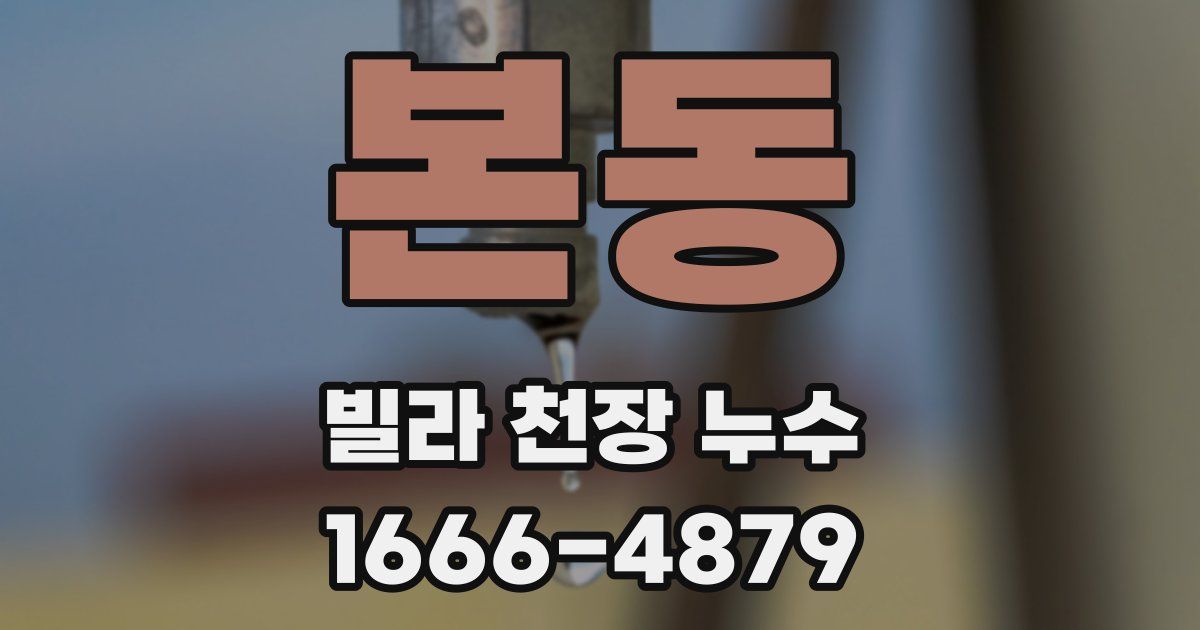 본동 빌라 천장 누수