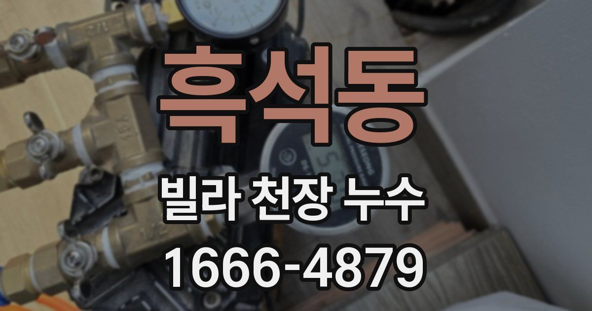 흑석동 빌라 천장 누수