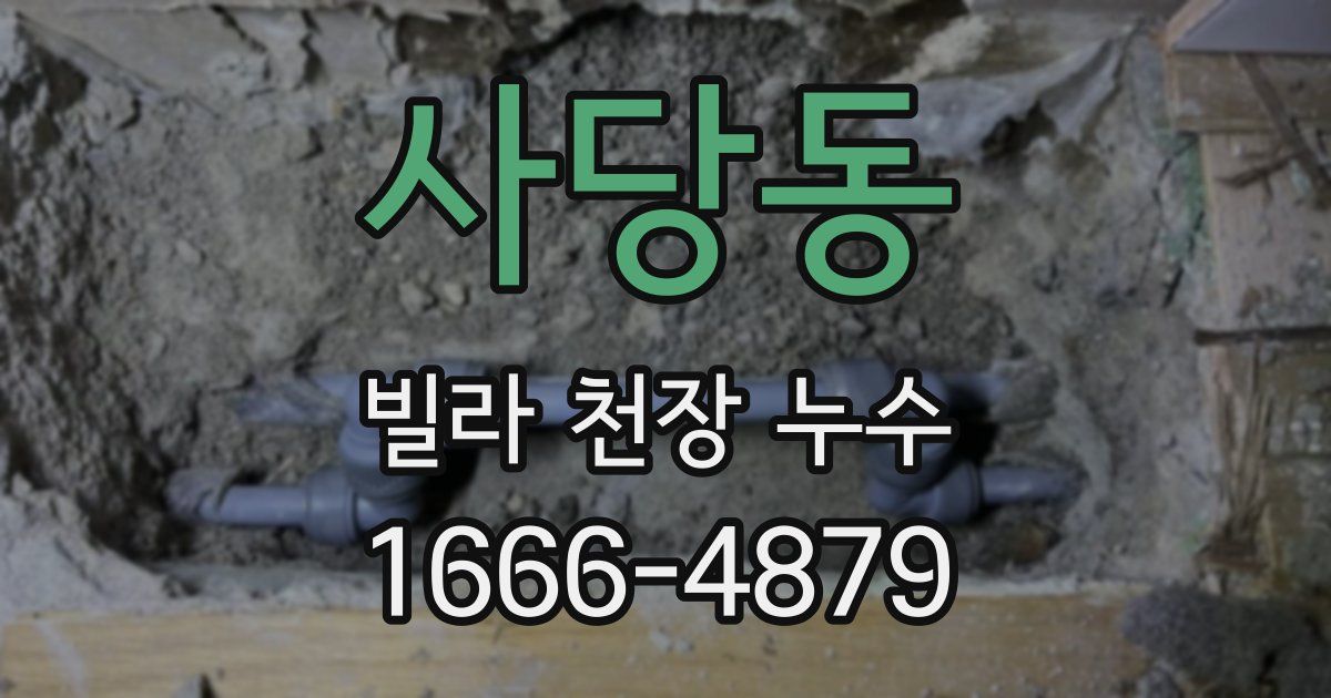사당동 빌라 천장 누수