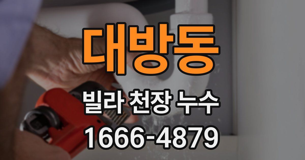 대방동 빌라 천장 누수