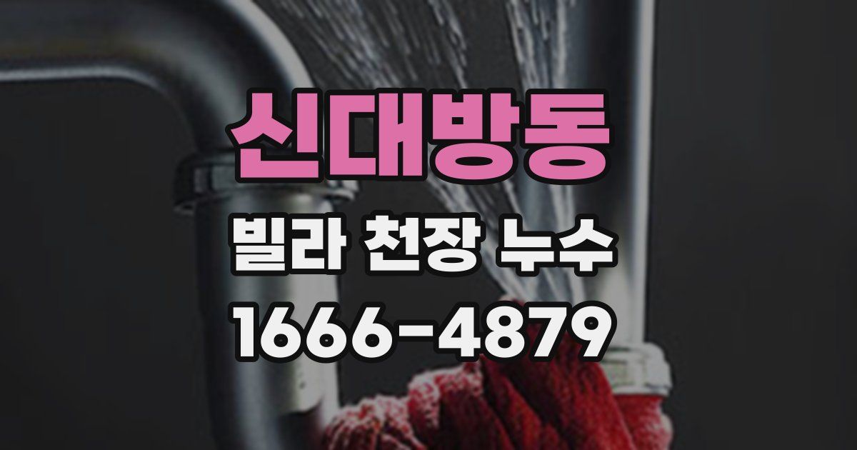 신대방동 빌라 천장 누수