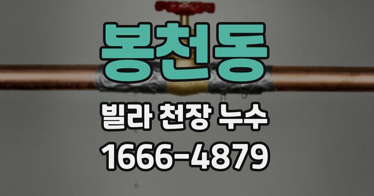 봉천동 빌라 천장 누수