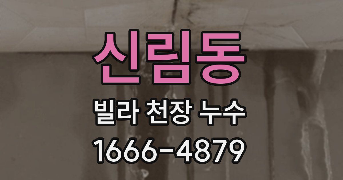 신림동 빌라 천장 누수