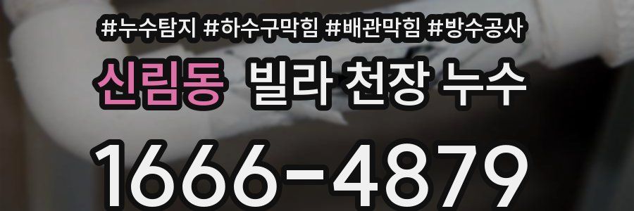 신림동 빌라 천장 누수