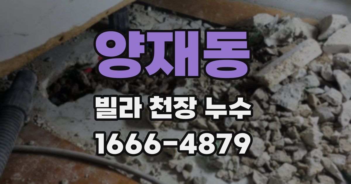 양재동 빌라 천장 누수