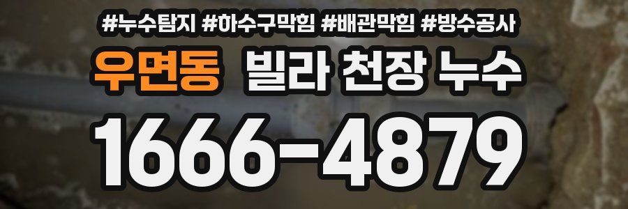 우면동 빌라 천장 누수