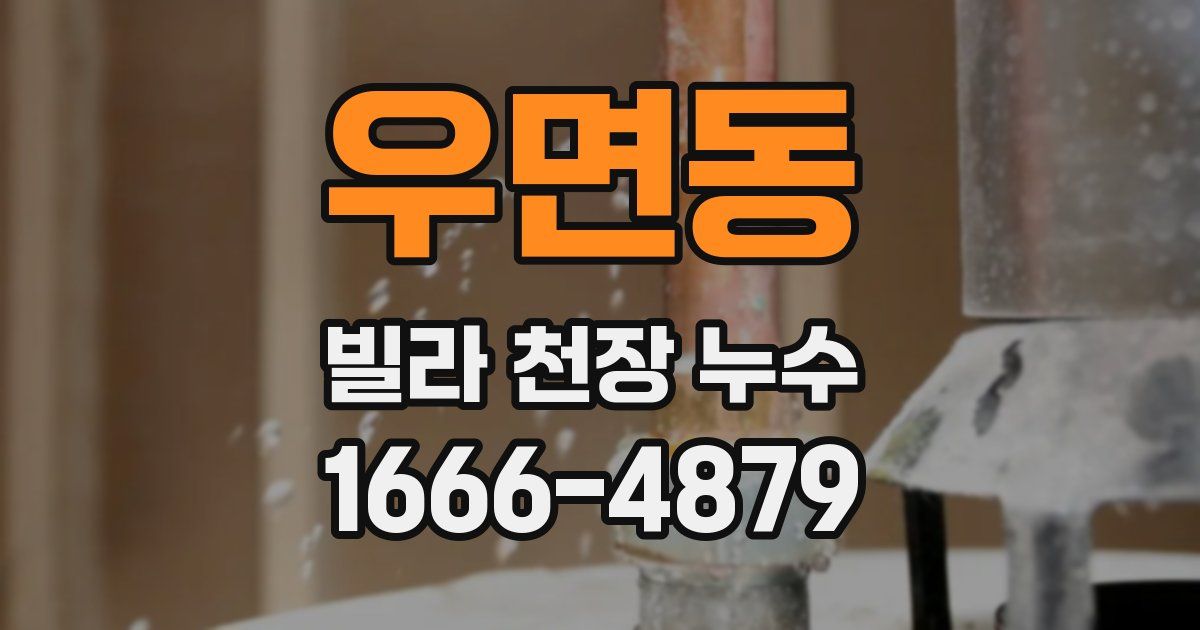 우면동 빌라 천장 누수