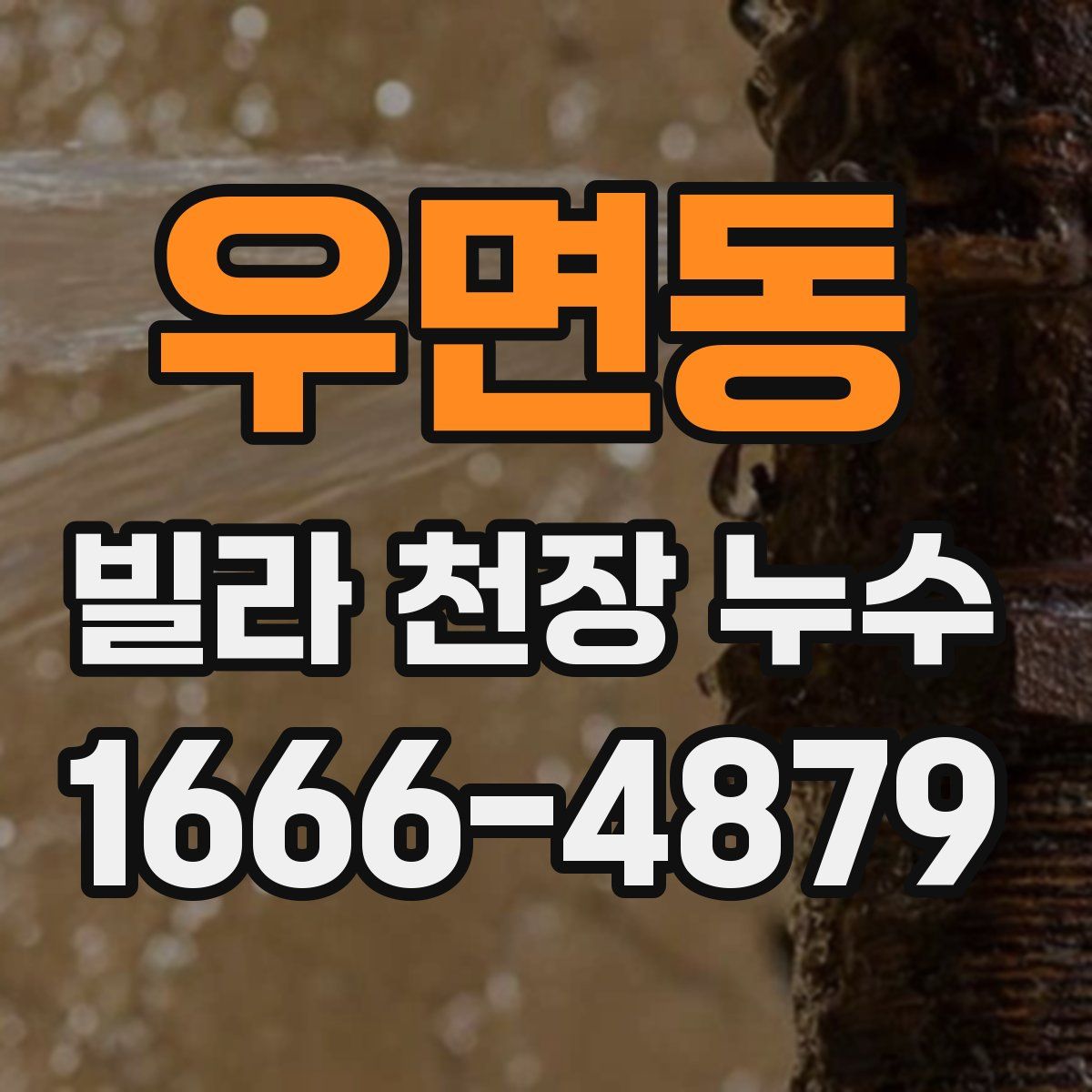 우면동 빌라 천장 누수