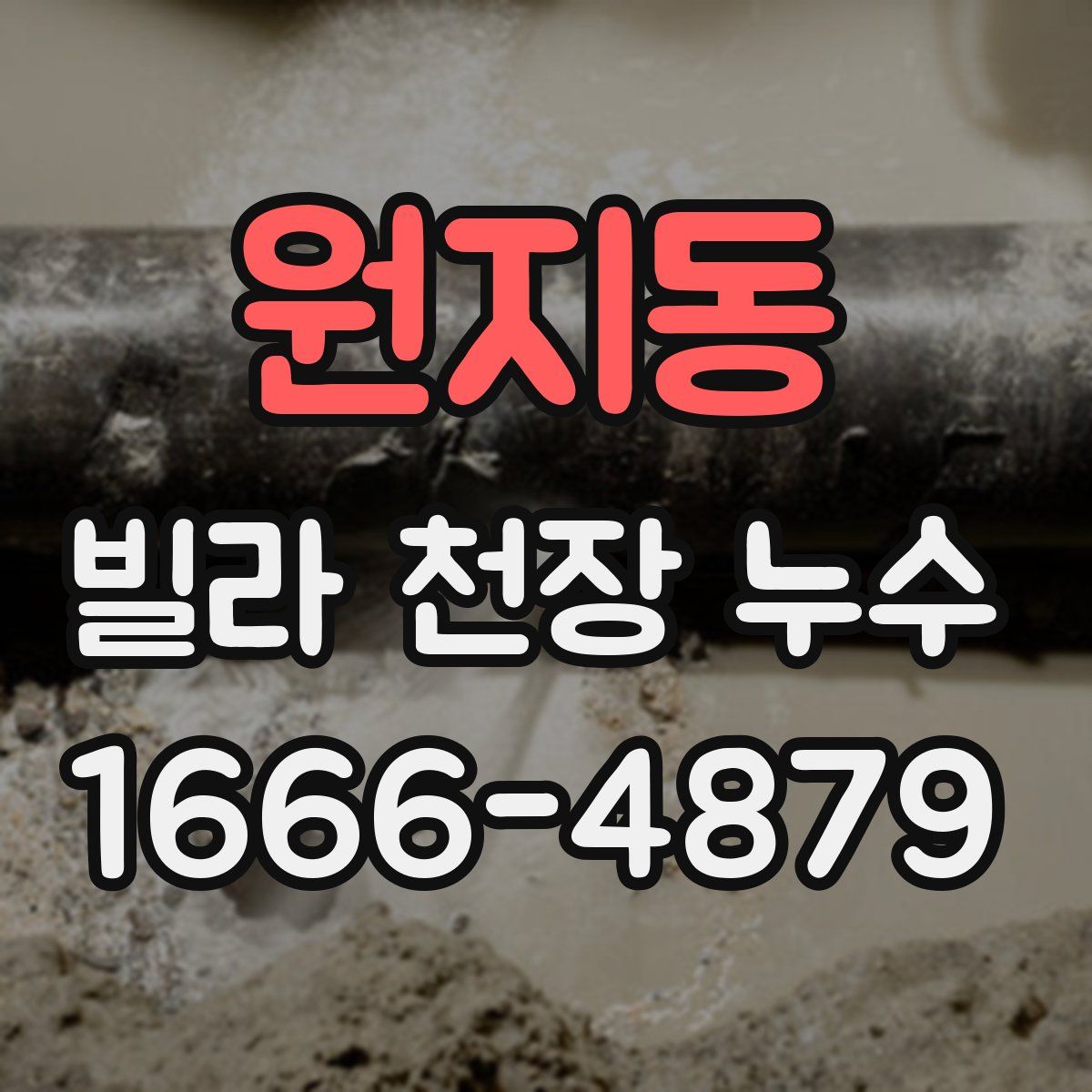 원지동 빌라 천장 누수
