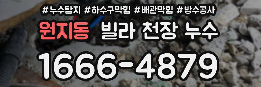 원지동 빌라 천장 누수
