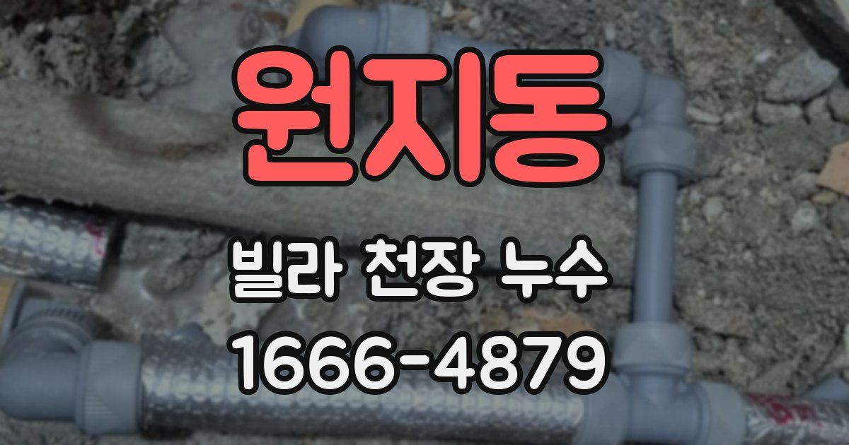 원지동 빌라 천장 누수
